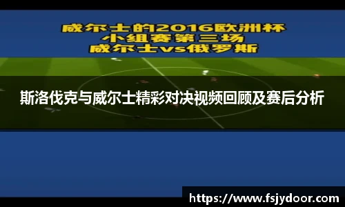 斯洛伐克与威尔士精彩对决视频回顾及赛后分析